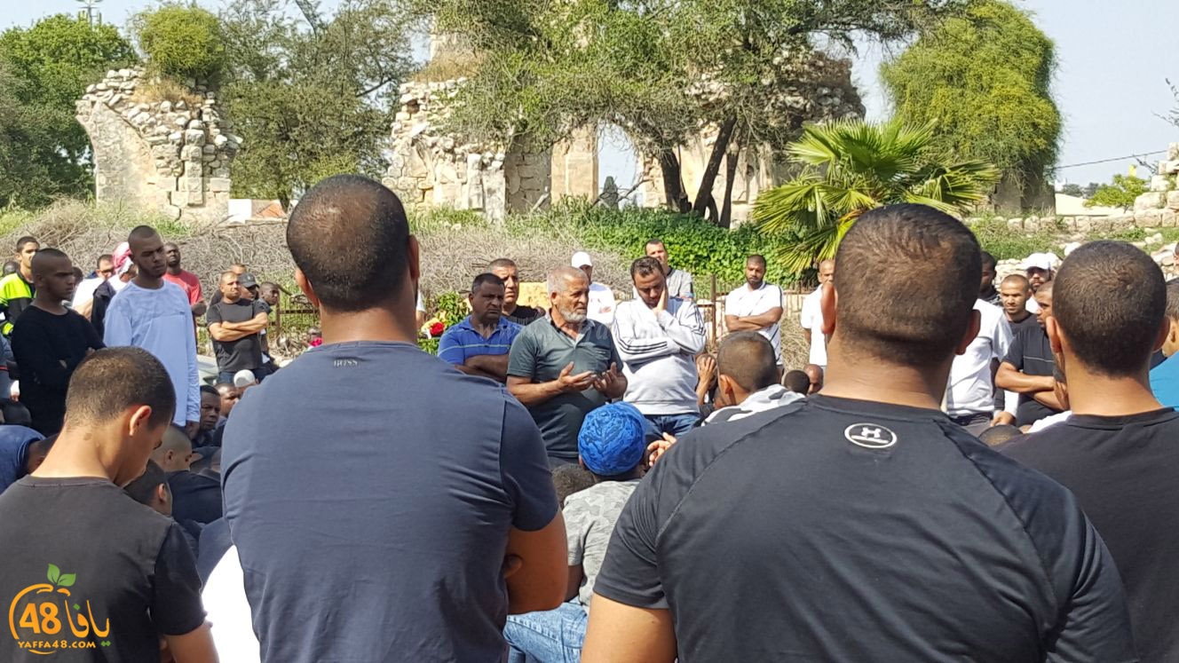 albeedjanaza (15).jpg